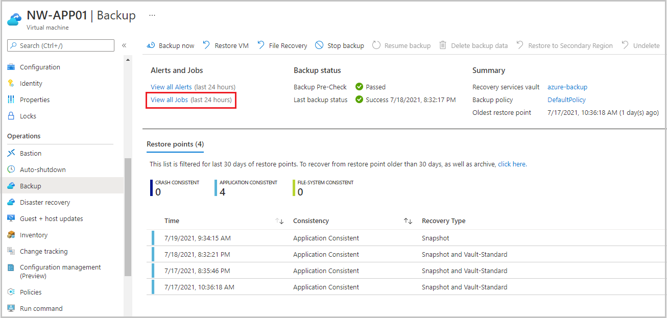 Screenshot of view details for the restore job.