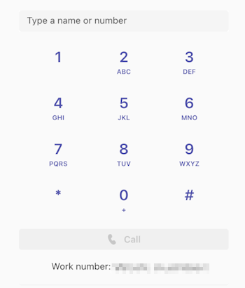 Screenshot that shows where the work number should be displayed in Microsoft Teams.