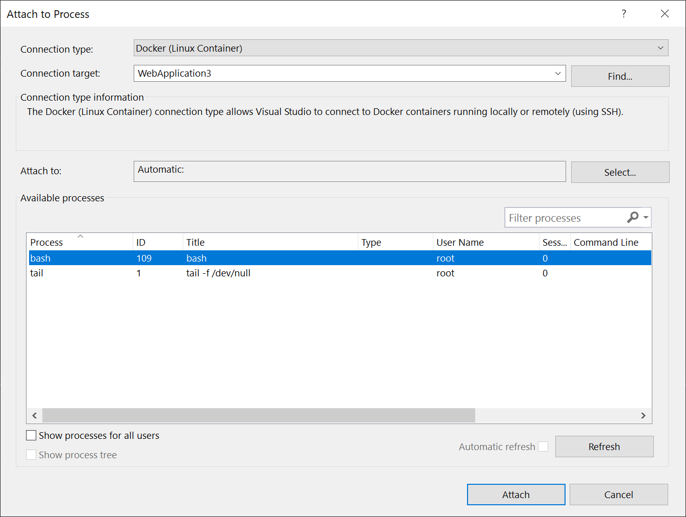 Screenshot of Attach to Process dialog box.