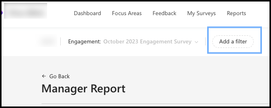 Screenshot of the Manager Report Add a filter button.