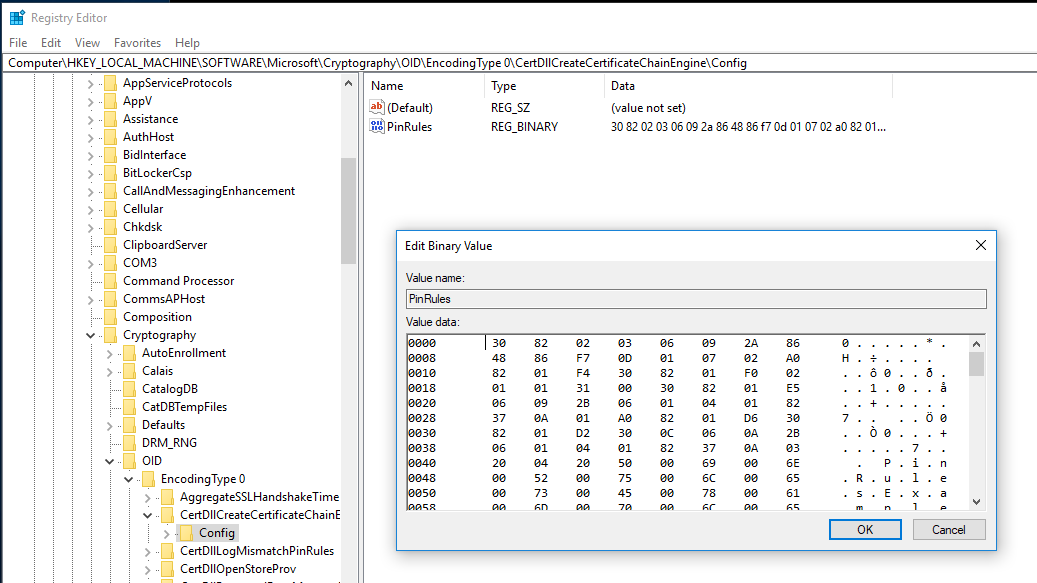 Registry binary information.