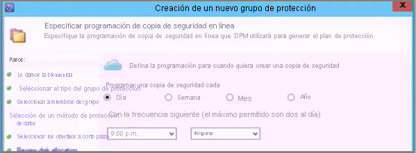 Screenshot showing the Create New Protection Group Wizard to specify online backup schedule and which DPN is used to generate your protection plan.