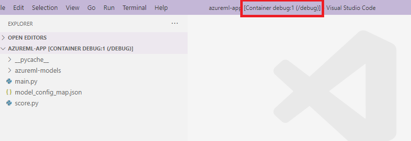 Interfaz del contenedor de VS Code