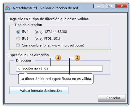 Cuadro de diálogo con un control de direcciones de red e información sobre información.