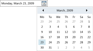 Control DatePicker Control