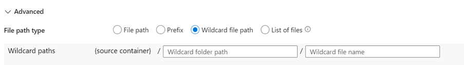 Screenshot showing wildcard file path.