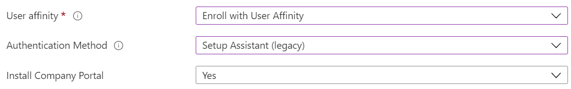 En el Centro de administración de Intune y Microsoft Intune, inscriba dispositivos iOS/iPadOS mediante la inscripción automatizada de dispositivos (ADE). Seleccione Inscribir con afinidad de usuario, use el Asistente para la instalación para la autenticación e instale la aplicación Portal de empresa.