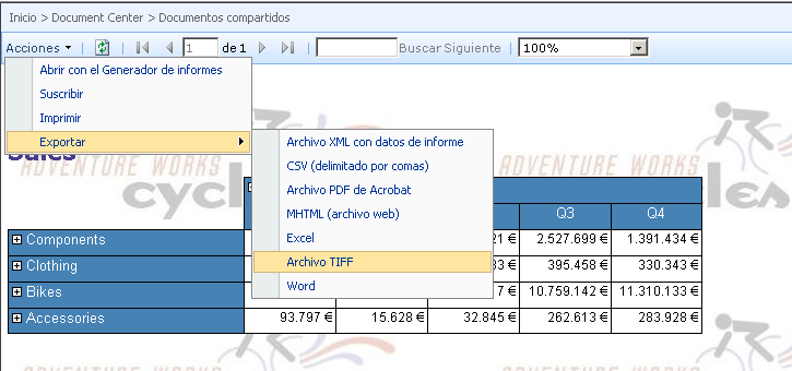 Elemento web Visor de informes