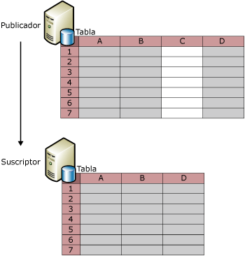 Filtros de columnas