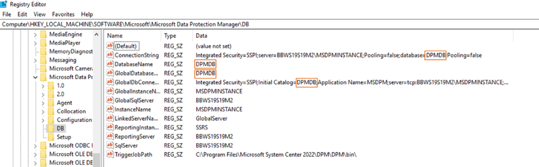 Captura de pantalla que muestra el editor de registros con el nombre de la base de datos.