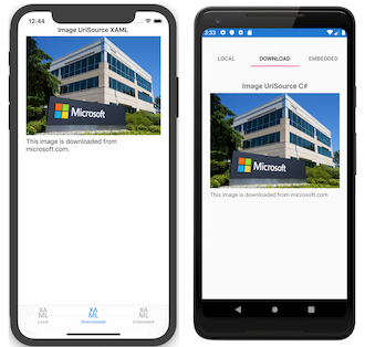 Sample application displaying a downloaded image