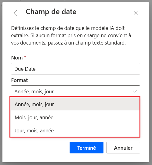 Capture d’écran des formats du « Champ de date ».