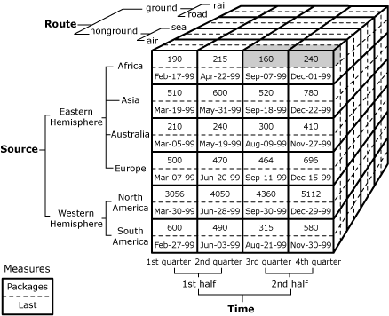 Cellules 3e et 4e trimestres pour les cellules 2e demi-membre