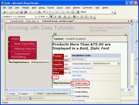 Figure 1 : Cochez la case Activer la pagination dans la balise active de DetailsView