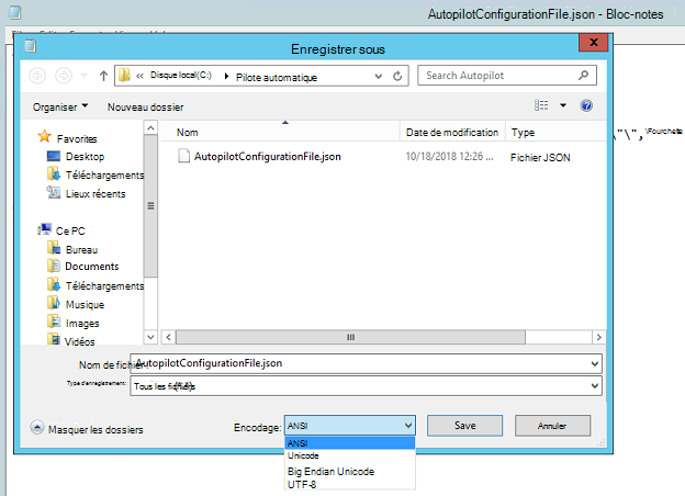 Enregistrez en tant qu’encodage ANSI dans le Bloc-notes.