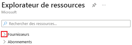 Capture d’écran de l’expansion de la section Fournisseurs dans Azure Resource Explorer.