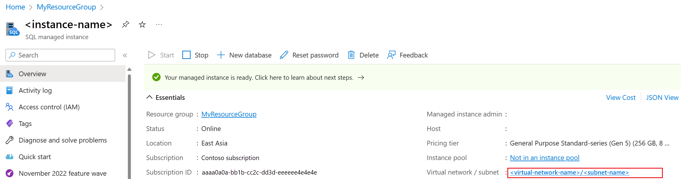 Capture d’écran de la page Vue d’ensemble de l’instance managée SQL dans le portail Azure, avec le sous-réseau sélectionné.