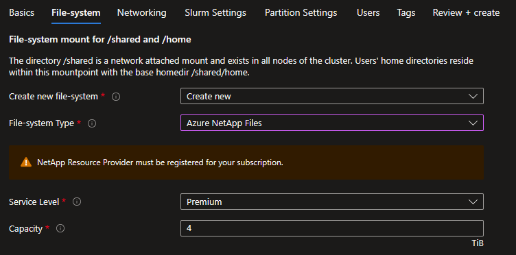 Capture d’écran du montage du système de fichiers pour /shared and /home Azure NetApp files create new options screen