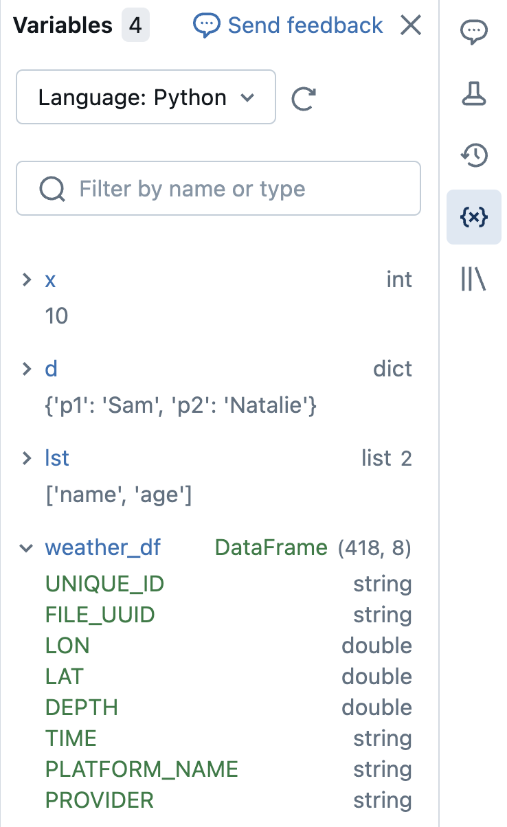 Exemple de panneau d’explorateur de variables