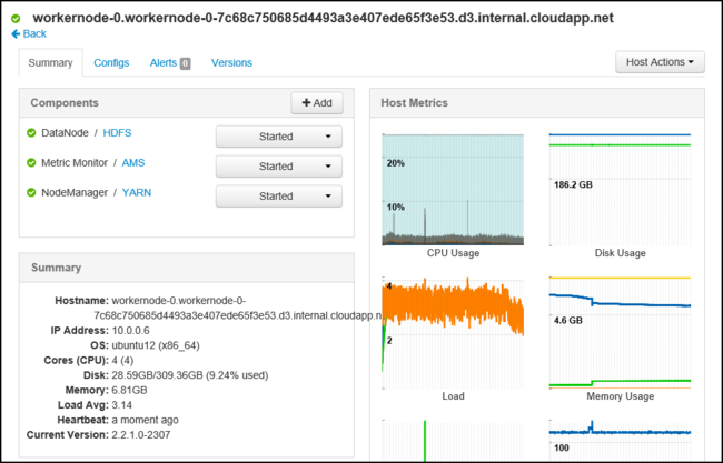 Apache Ambari host summary details.