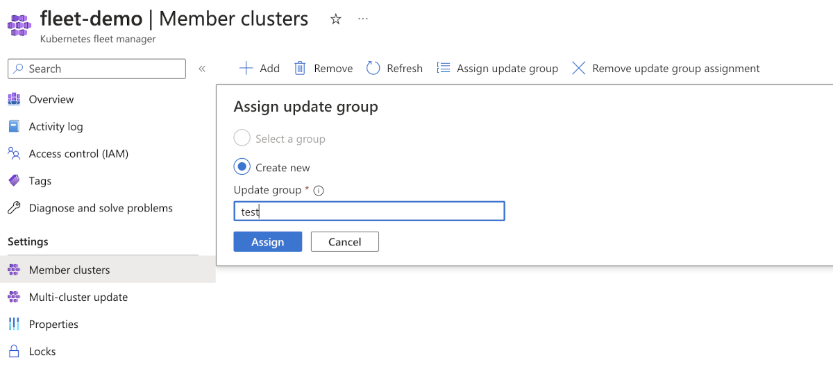 Capture d’écran de la page du Portail Azure pour des clusters membres qui montre le formulaire de mise à jour du groupe d’un cluster membre.