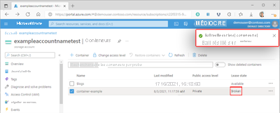 Screenshot showing a container's broken lease within the Azure portal.