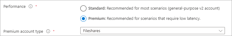 Capture d’écran montrant la case d’option Performances avec Premium sélectionné, et FileStorage sélectionné pour le Type de compte.