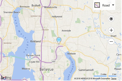 Screenshot of a Bing map showing the custom white and blue pushpin image is in the center of the map.