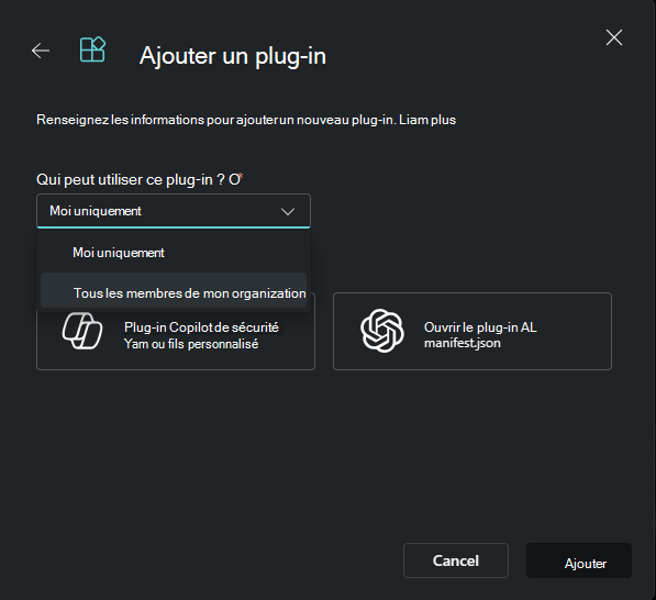 Capture d’écran montrant l’ajout d’un plug-in en tant que propriétaire.