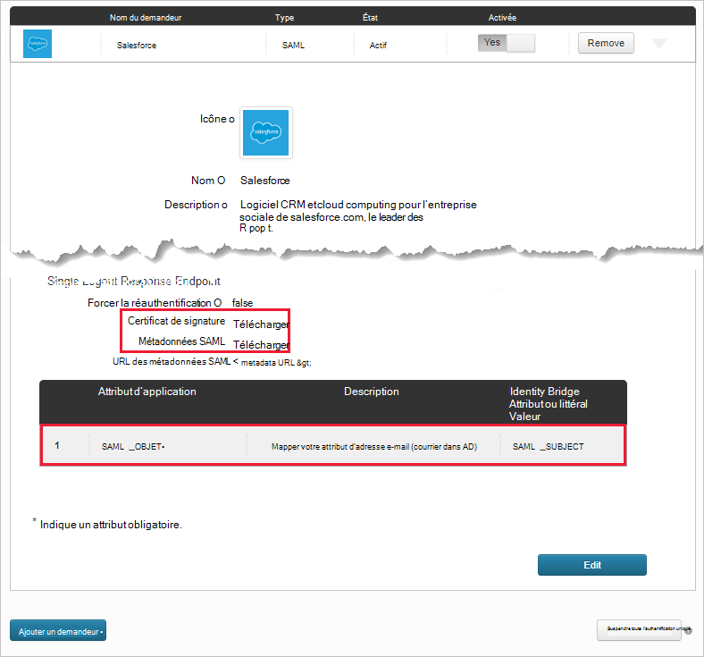 Notez les attributs de l’application Salesforce existante.