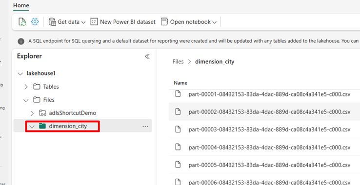 Capture d'écran de l'affichage de fichiers dans Lakehouse dans Fabric.