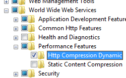 Capture d’écran du nœud Fonctionnalités de performances développé et dynamique de compression H T T P sélectionnée.