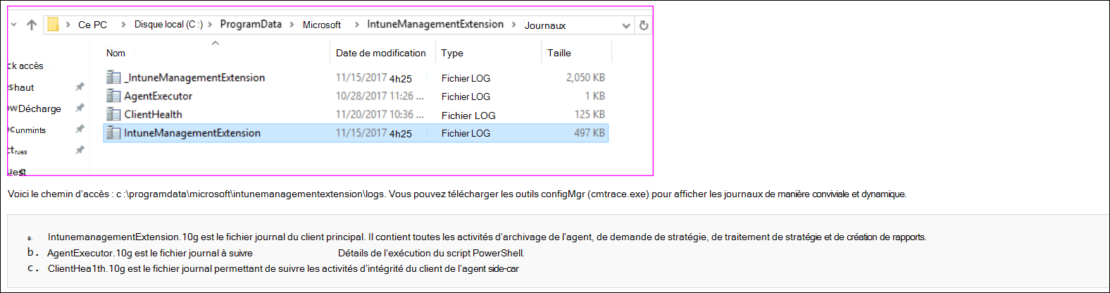 Capture d’écran ou exemples de journaux de l’agent cmtrace dans Microsoft Intune