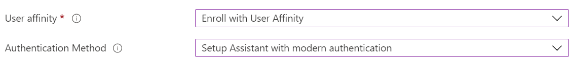 Dans le centre d’administration Intune et Microsoft Intune, inscrivez des appareils iOS/iPadOS à l’aide de l’inscription automatisée des appareils (ADE). Sélectionnez Inscrire avec l’affinité utilisateur, puis utilisez l’Assistant Configuration pour l’authentification. L’application Portail d'entreprise s’installe automatiquement.