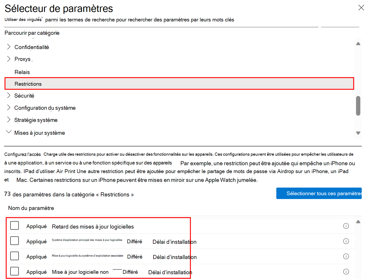 Capture d’écran montrant les paramètres de stratégie de restrictions du catalogue pour retarder ou différer les mises à jour logicielles dans Microsoft Intune.