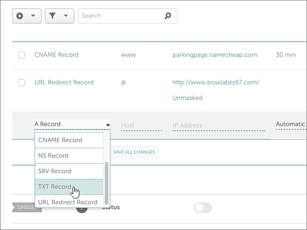 Sélectionnez Enregistrement TXT pour l’enregistrement TXT de vérification de domaine.