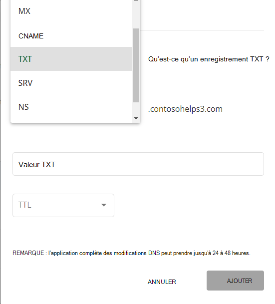 Sélectionnez TXT dans la liste déroulante Type.