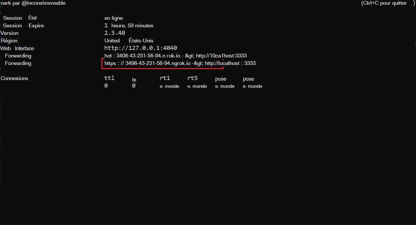Capture d’écran de l’image montrant le tunnel ngrok.