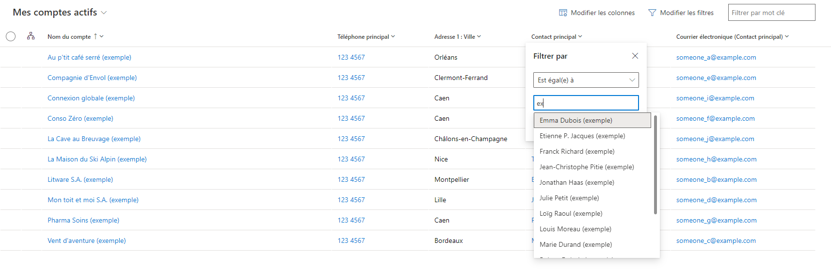 Capture d’écran du filtre de la colonne Contact principal qui montre l’achèvement de la recherche.