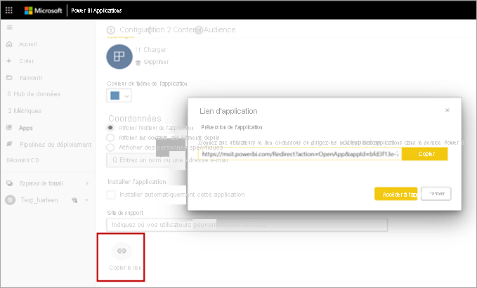 Capture d'écran montrant l’option Copier le lien.