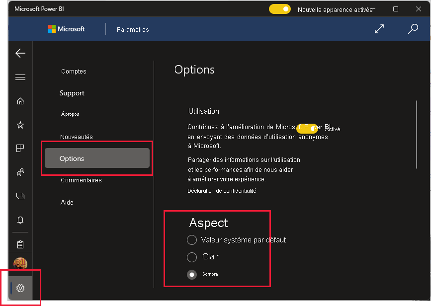 Capture d’écran des paramètres d’apparence pour l’application Windows Power BI. 