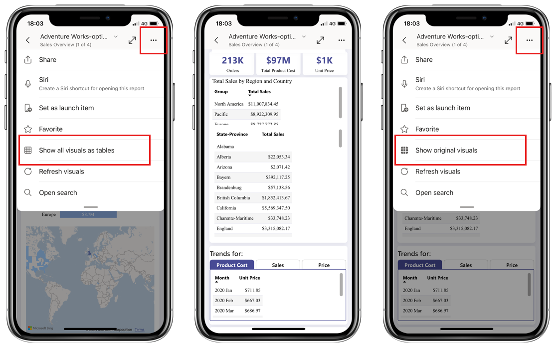 Image montrant les options Afficher tous les visuels sous forme de tables et Afficher les visuels d’origine dans les options d’en-tête de rapport.