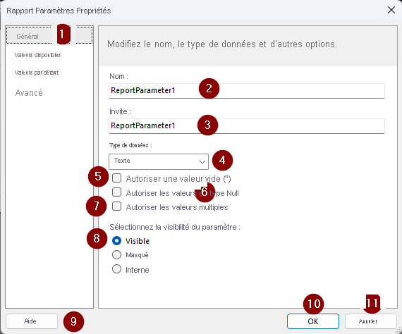 Screenshot showing Report Parameter Properties.