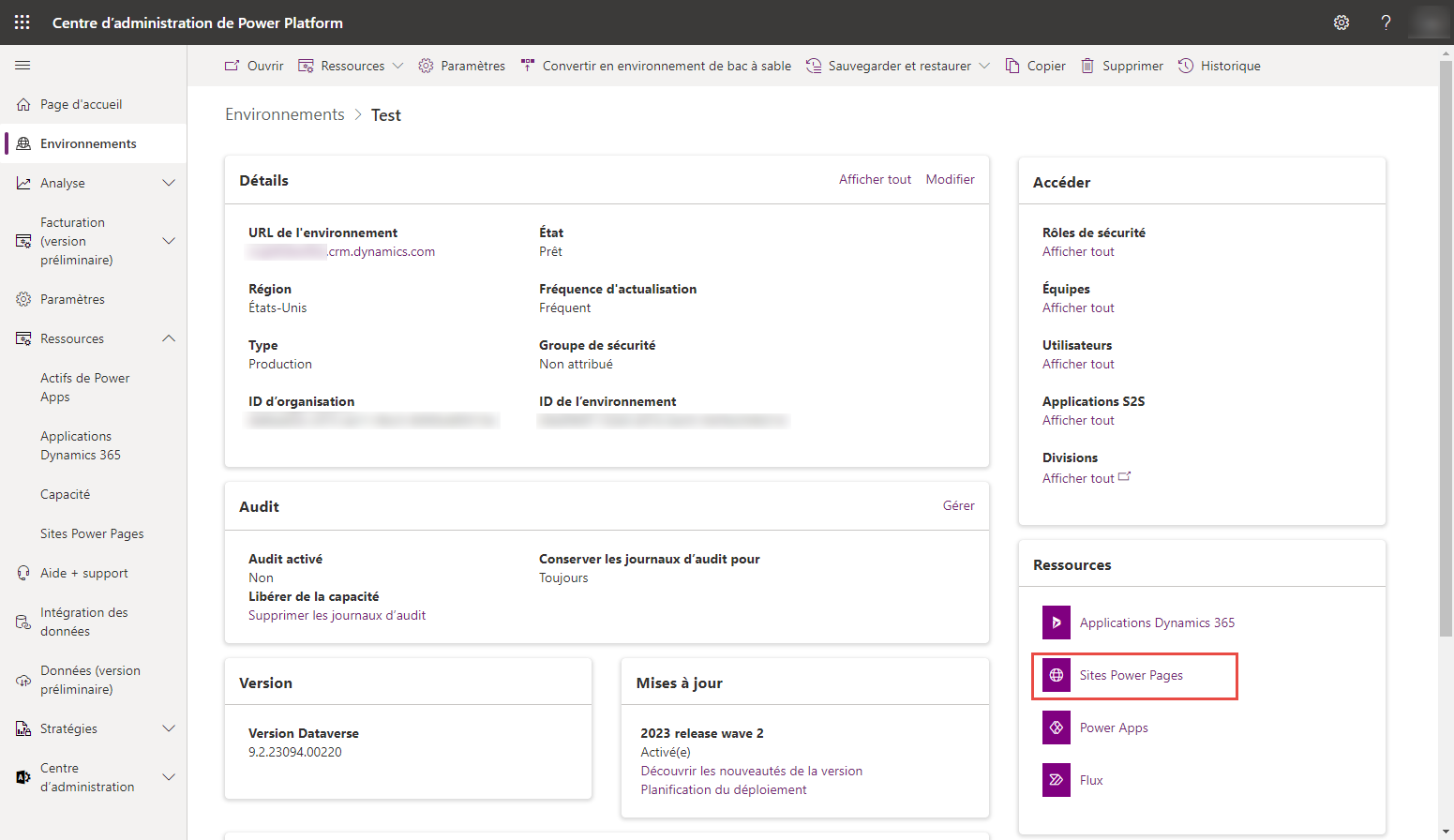 Détails de l’environnement Power Platform.