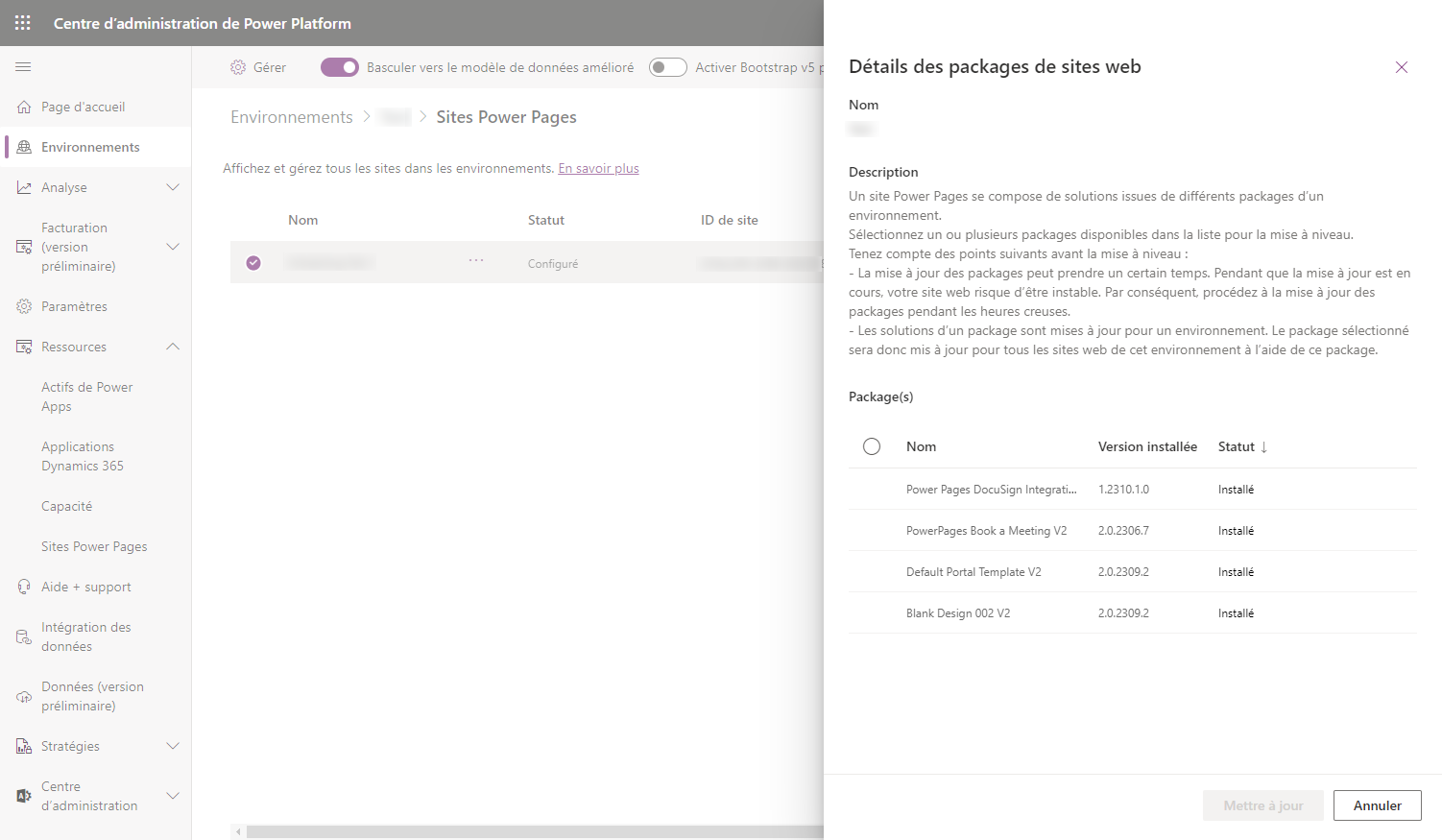 Détails des packages du portail tels que le nom, la version et l’état d’installation