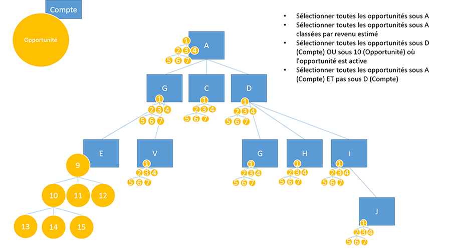 Query account's related opportunities