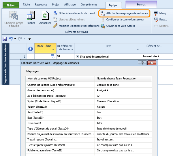 Afficher les champs TFS mappés aux champs du projet
