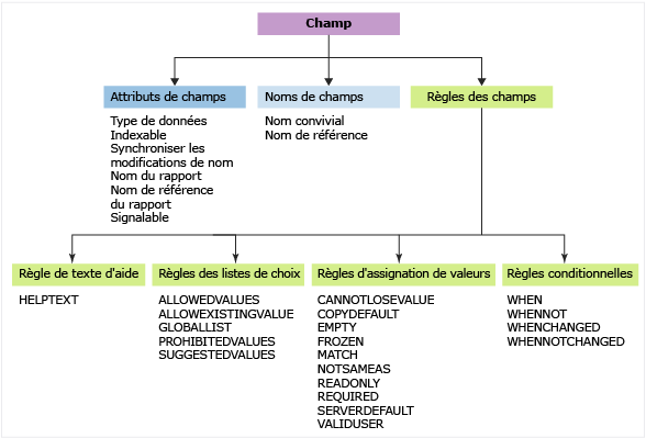 Noms, attributs et règles de définition de champ