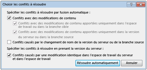 Boîte de dialogue Choisir les conflits à résoudre