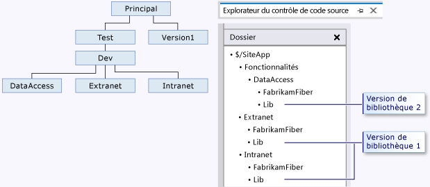 Dossier de bibliothèque au sein d'une structure de branche